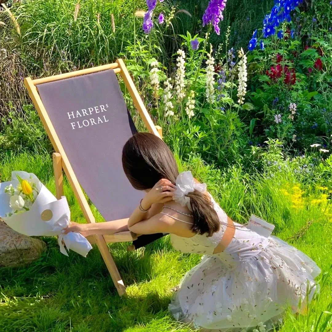 在宇宙中最明亮的屋顶